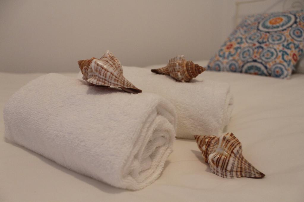 Consolacao Surf & Beach Apartment Kültér fotó